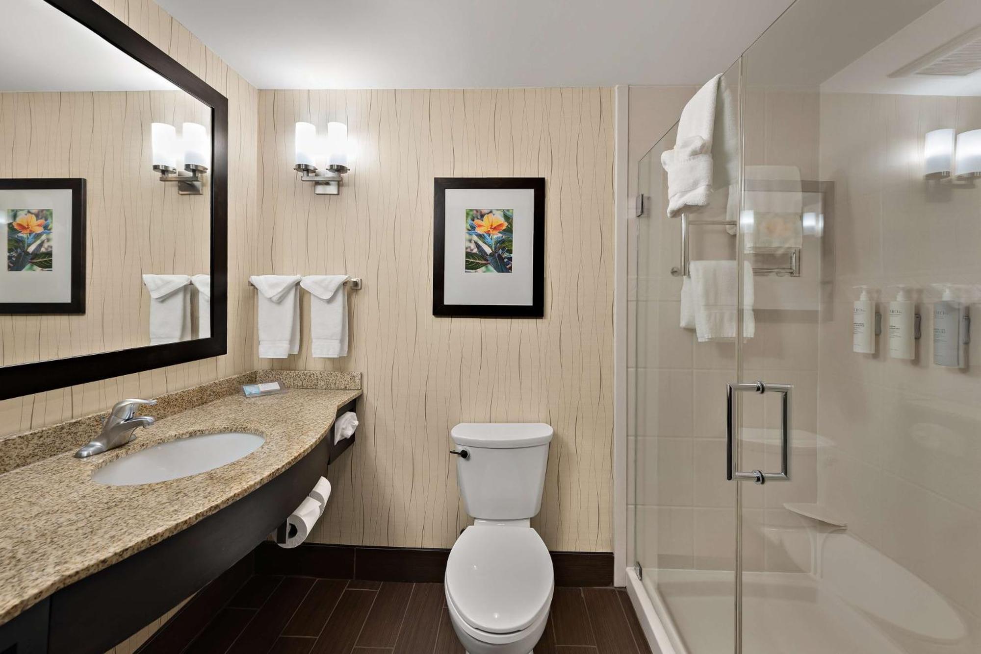 Hilton Garden Inn Findlay Ngoại thất bức ảnh
